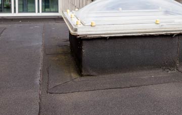 disadvantages of Dublin flat roofs