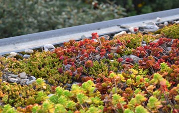 the cost of Dublin green roof installation
