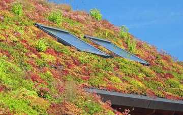 Dublin living roof systems