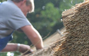 professional Dublin thatchers