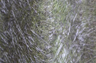 Dublin fibreglass roof work